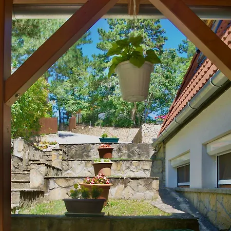 בית הארחה Ezuesthid 4*