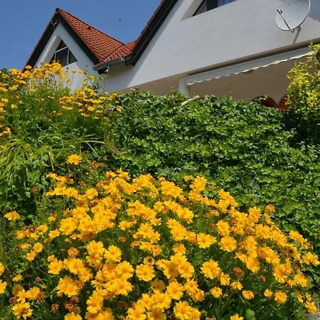 Ezuesthid בית הארחה